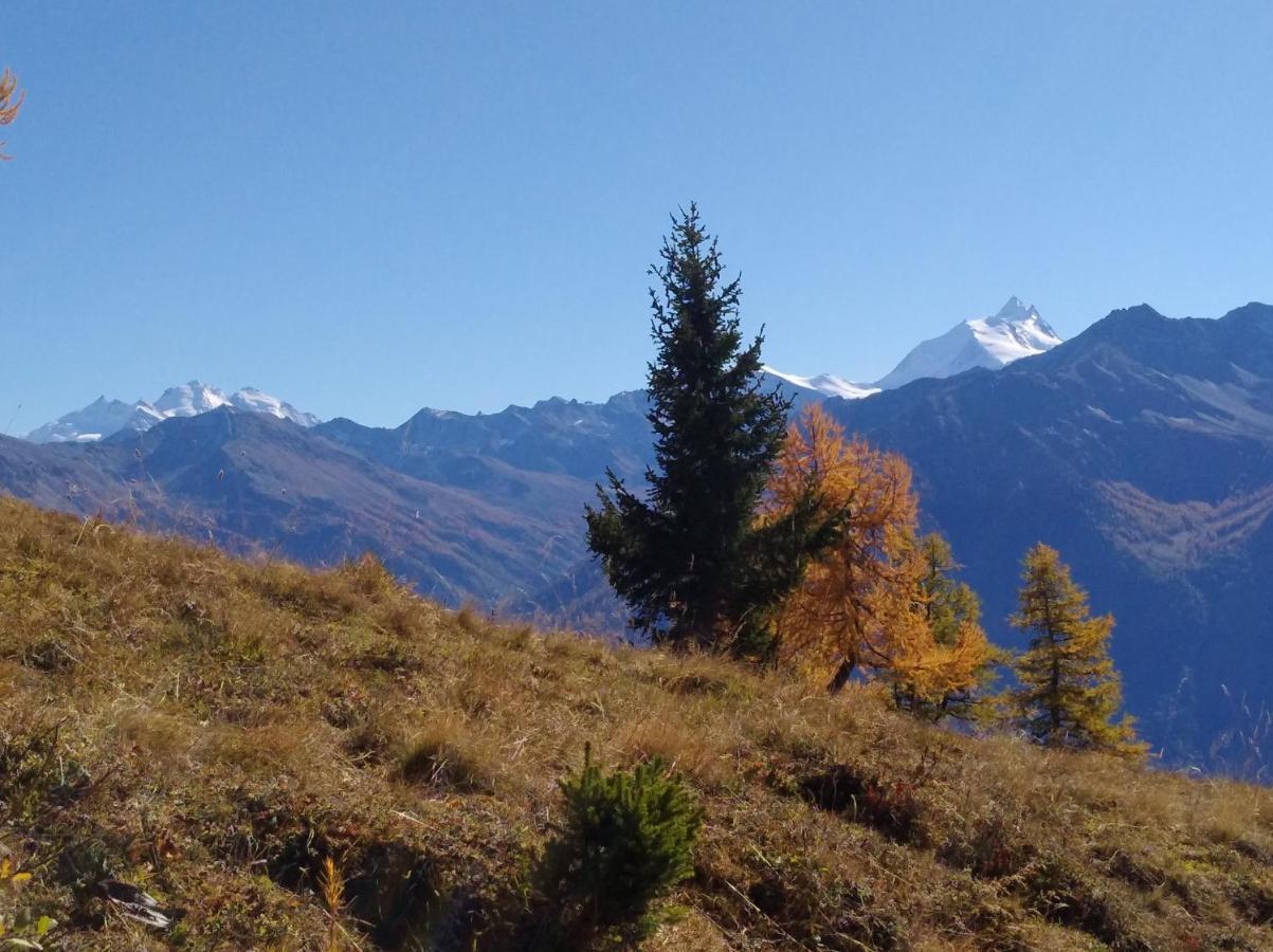 Chalet Waldrand Inden Εξωτερικό φωτογραφία